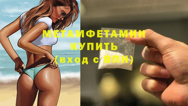 стафф Гусев