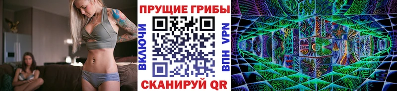 Купить где  Тырныауз  Псилоцибиновые грибы Psilocybe 